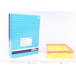 Фільтр повітряний Ford Escort/Orion/Fiesta 1.3-1.8i/TD 83-05 