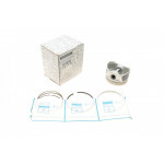 Поршень Renault Kangoo 1.6 08- (STD) 