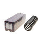 Пружина (задня) MB C-class (W202) 96-00 (седан) 