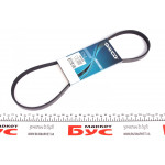 Ремінь генератора Renault Kangoo 1.2i 01- (-AC)/Fiat Scudo 1.6i (+AC) 