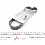 Ремінь генератора VW T5 1.9TDI/2.0TDI 03- (PS) HD 