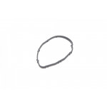 Прокладка термостата BMW 3 (F30/F80/G20/G80/G28)/5 (F10/G30/F90)/7 (G11/G12) 13- B47/N47 