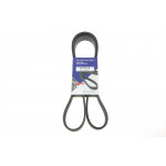 Ремінь генератора Peugeot 406 (6PK1479) 