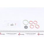 Прокладка колектора впускного Fiat Doblo/Fiorino/Ford KA 1.2/1.4 04- 