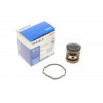 Термостат BMW 1 (E81/E87)/3 (E90/F30/F80)/5 (F10/F07) 1.6-3.0 D 07-19 (87°C) (N47/N57) 