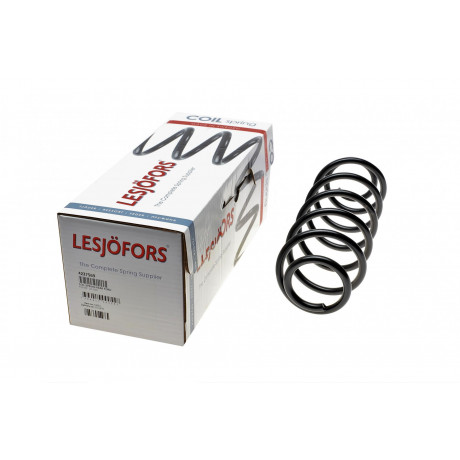 Пружина (задня) Ford Fusion 1.4/1.4TDCi/1.6 02-04 (універсал)
