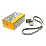 Комплект ременя генератора Renault Clio/Kangoo/Megane/Scenic 1.5dCi 01- (6PK1200) 