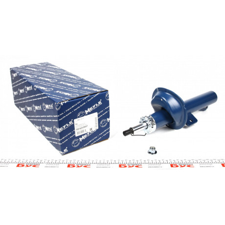 Амортизатор (передній) Ford Connect 02-13 (висока база) (R)
