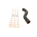 Патрубок інтеркулера Renault Kangoo 1.5dCi 08- 