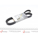 Ремінь генератора MB Vito OM601/VW LT 2.5TDI (+AC) 