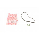 Прокладка помпи води BMW 5 (E60)/7 (E65/E66/E67/F01-F04) 01-15 N62/N73/N74 