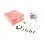 Комплект прокладок турбіни Renault Kangoo 1.5 dCi 09- (80kW) 