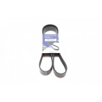 Ремінь генератора BMW 3 (F30/F80)/5 (F10)/ X5 (F15/F85)/ X6 (F16/F86) 13- (8PK1392) (N55) 