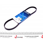 Ремінь генератора Hyundai Accent 1.3-1.6 94-11 (4PK845) 