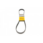 Ремінь генератора Renault Megane/Laguna 2.0 97-03/Clio/Grand Scenic/Talisman 1.5dCi 15- 