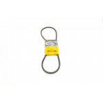 Ремінь генератора Ford Transit/Renault Trafic 