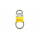 Ремінь генератора Citroen Jumpy/Jumper/Berlingo/T4 1.9D/TD 