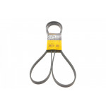 Ремінь генератора BMW 3 (E46)/5 (E39)/7 (E38)/X5 (E53) 3.0D 98-05 (5PK2060) 