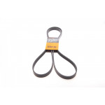 Ремінь генератора MB W202/211 2.0/2.2/2.7CDI 