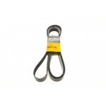 Ремінь генератора Ford Transit 2.4 TDCi 06- 