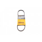 Ремінь генератора Ford Escort/Fiesta/Kia Cerato 