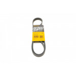 Ремінь генератора Fiat Scudo/Peugeot Expert 2.0MJTD/HDi 07- (+AC) 