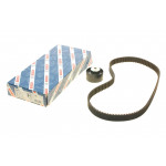 Комплект ГРМ Fiat Doblo/Punto/Stilo/Opel Combo/Jeep Renegade 1.4i 10- (22x124z) 