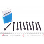 Болти головки (к-кт 10шт.) Citroen Jumper/Fiat Ducato/Scudo 1.9/2.0TD 94- (1.5xM12) 