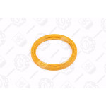 Сальник вала колінчастого КАМАЗ задній (160) ПРЕМИУМ <ДК> 