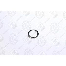 Шайба насоса масляного (18х24х1,5) алюм. <ДК>