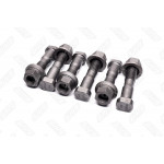 Болт колеса заднього ЄВРО з гайкою (RIDER) 