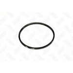 Ремінь 14х10х887 насоса вод. (RIDER) 