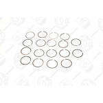 Кільця поршневі 81,88 м / к ГАЗ 52 <ДК> 