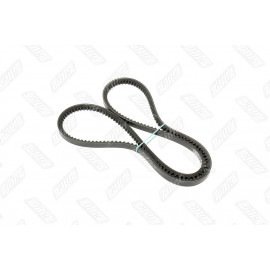 Ремінь AVХ13х1400 зубч. ПАЗ 3205 (RIDER)