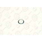 Шайба форсунки ГАЗ, ЗІЛ, ПАЗ ММЗ дв. 245 260 (9х20х2 / 4) <ДК> 