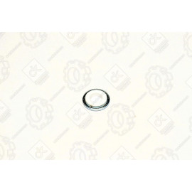 Шайба форсунки ГАЗ, ЗІЛ, ПАЗ ММЗ дв. 245 260 (9х20х2 / 4) <ДК>