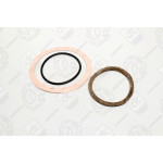 Р / к балансира задньої підвіски КРАЗ <ДК> 