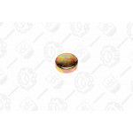 Заглушка ГБЦ Д 243, 245 <ДК> 