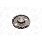 Шестерня р/валу, Z = 40 <ДК> 