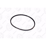 Ремінь В (Б) -1250 <ДК> 