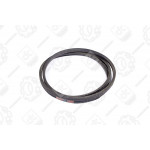 Ремінь В (Б) -2650 <ДК> 