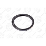 Ремінь В (Б) -2800 <ДК> 