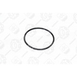 Кільце ущільнююче стакана масляного фільтра Еталон, ТАТА 115х5,8 <ДК> 