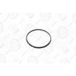 Кільце ущільнююче паливного фільтра Еталон, ТАТА Е-2 102х3 <ДК> 