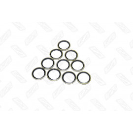 Шайба 24х32х2 з гумовим ущ. 10 шт. (RIDER)