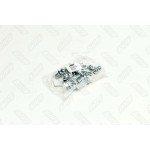 Прес-маслянка М8х1х90 кутова (10шт) (RIDER) 