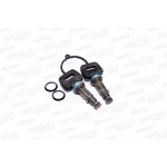 Личинка замка двери с 2 ключами DAF XF95/105XF (DECARO) 