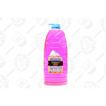 Омивачь скла летний STANDARD Кавун (канистра 5л) <ДК> 