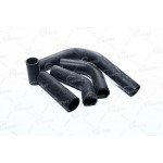 Патрубок радіатора ГАЗ 3302 (дв.4215) (компл. 5шт.) (TEMPEST) 