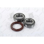 Р/к маточини колеса заднього ГАЗЕЛЬ <ДК> 